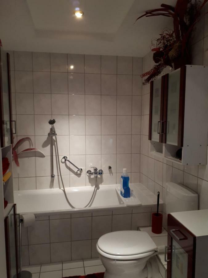 Serpina Apartment Lobsal Bagian luar foto